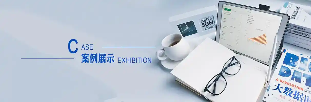 讷河市软件开发